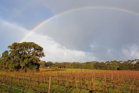 5 Hours Wineries, Coffee Tasting, Forest & Lunch At The Berry Farm - ACT Tourism 20