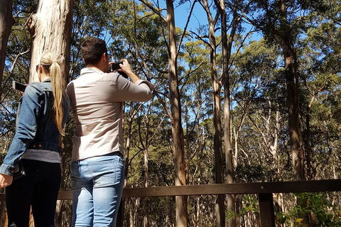 5 Hours Wineries, Coffee Tasting, Forest & Lunch At The Berry Farm - ACT Tourism 9