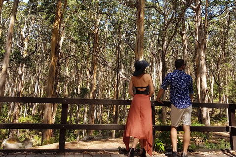 5 Hours Wineries, Coffee Tasting, Forest & Lunch At The Berry Farm - ACT Tourism 11