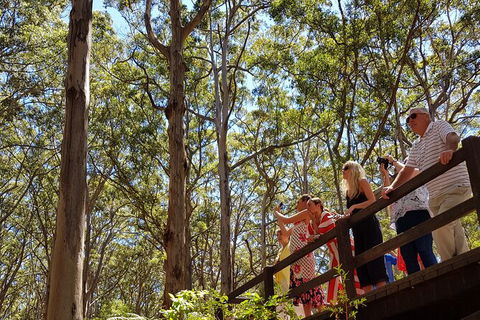 5 Hours Wineries, Coffee Tasting, Forest & Lunch At The Berry Farm - ACT Tourism 4