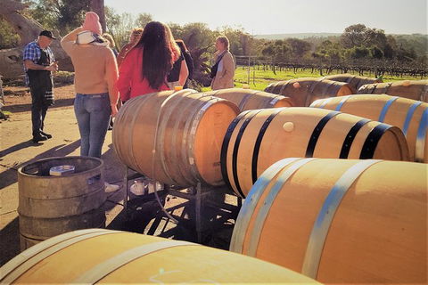 5 Hours Wineries, Coffee Tasting, Forest & Lunch At The Berry Farm - ACT Tourism 2