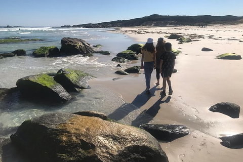 Tastes Of Margaret River Variety Tour - ACT Tourism 5