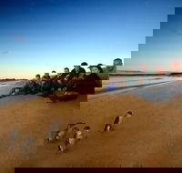 Phillip Island Ultimate Penguin Eco Tour or Skybox Experience - ACT Tourism