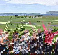 Alternative Yarra Valley Wine Tasting Tour Departing from Melbourne - ACT Tourism