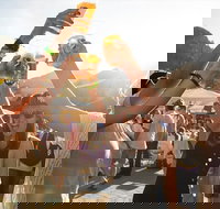 Ale Blazers Craft Beer Tour of the Surf Coast - ACT Tourism