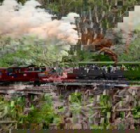 Melbourne Combo Great Ocean Road Puffing Billy Moonlit Sanctuary  Penguins - ACT Tourism
