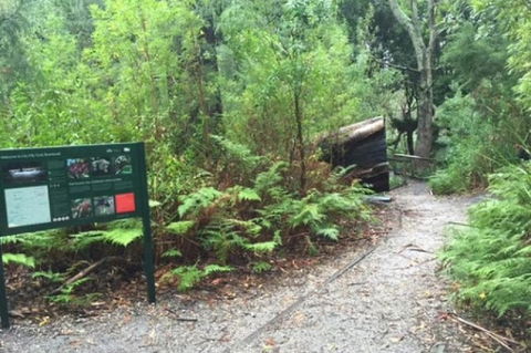 Wilsons Promontory Walking And Sightseeing Tour From Phillip Island - ACT Tourism 1