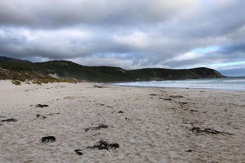 Wilsons Promontory Walking And Sightseeing Tour From Phillip Island - ACT Tourism 11