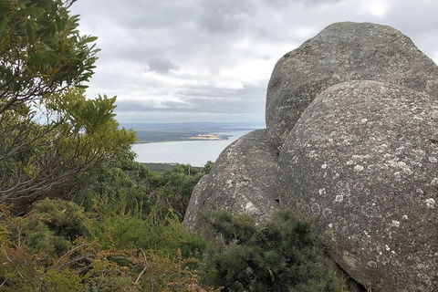 Wilsons Promontory Walking And Sightseeing Tour From Phillip Island - ACT Tourism 15