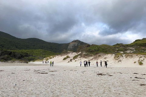 Wilsons Promontory Walking And Sightseeing Tour From Phillip Island - ACT Tourism 4