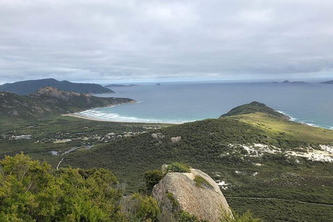Wilsons Promontory Walking And Sightseeing Tour From Phillip Island - ACT Tourism 12