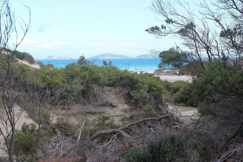 Wilsons Promontory Walking And Sightseeing Tour From Phillip Island - ACT Tourism 14