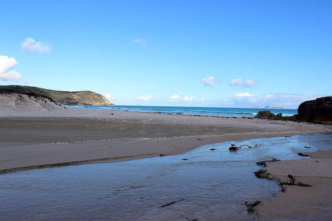 Wilsons Promontory Walking And Sightseeing Tour From Phillip Island - ACT Tourism 3