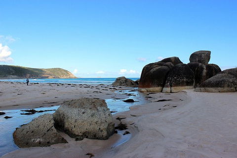 Wilsons Promontory Walking And Sightseeing Tour From Phillip Island - ACT Tourism 10