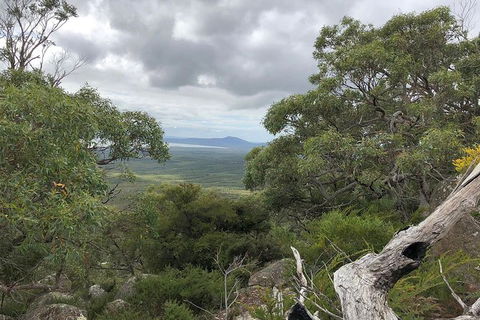 Wilsons Promontory Walking And Sightseeing Tour From Phillip Island - ACT Tourism 13