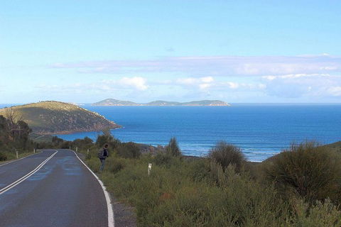 Wilsons Promontory Walking And Sightseeing Tour From Phillip Island - ACT Tourism 2