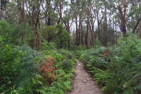 Wilsons Promontory Walking And Sightseeing Tour From Phillip Island - ACT Tourism 6