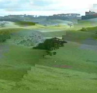 Day Tour of Phillip Island  Surrounding Region - ACT Tourism