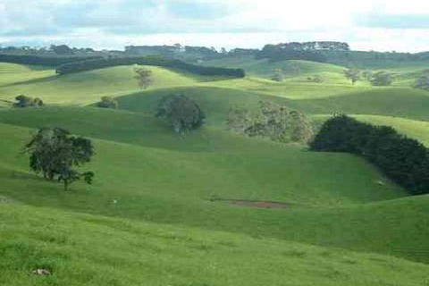 Day Tour Of Phillip Island & Surrounding Region - ACT Tourism 0