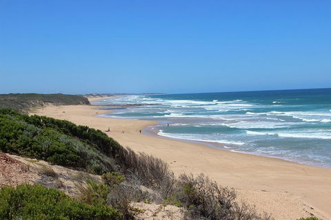 Day Tour Of Phillip Island & Surrounding Region - ACT Tourism 1