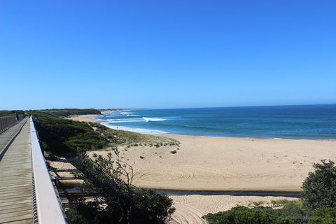 Day Tour Of Phillip Island & Surrounding Region - ACT Tourism 3