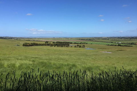 Day Tour Of Phillip Island & Surrounding Region - ACT Tourism 4