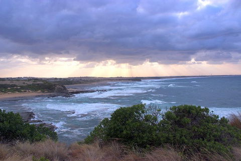 Day Tour Of Phillip Island & Surrounding Region - ACT Tourism 12