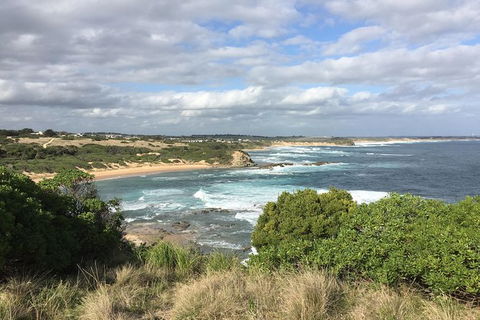 Day Tour Of Phillip Island & Surrounding Region - ACT Tourism 10