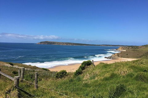 Day Tour Of Phillip Island & Surrounding Region - ACT Tourism 5