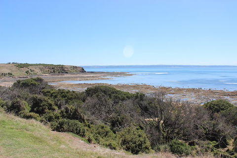 Day Tour Of Phillip Island & Surrounding Region - ACT Tourism 2