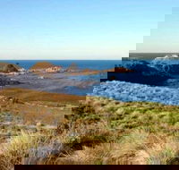 Phillip Island Walking  Bird Watching Tour - ACT Tourism