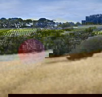 Estate to Plate Montalto Vineyard Gourmet Lunch and Wine-Tasting Tour - ACT Tourism