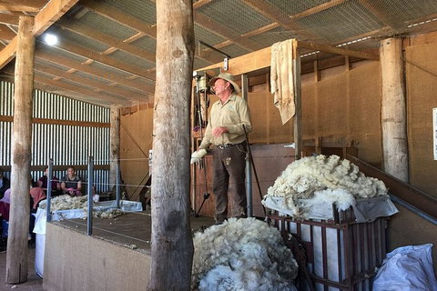 Day Tour Of Phillip Island Nature Parks & Penguins - ACT Tourism 5