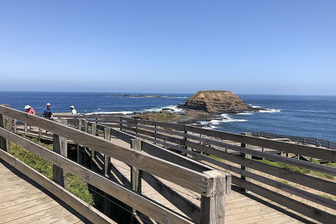 Day Tour Of Phillip Island Nature Parks & Penguins - ACT Tourism 9