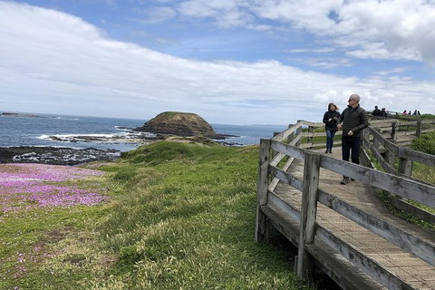 Day Tour Of Phillip Island Nature Parks & Penguins - ACT Tourism 10