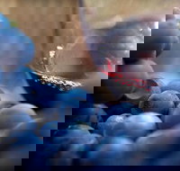 Small Group 6 guests Ultimate Mornington Peninsula Food and Wine - ACT Tourism