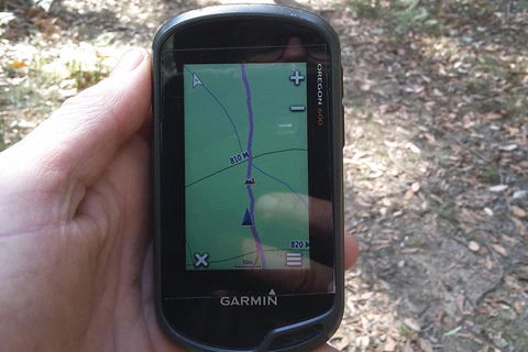 GPS Guided Walks In The Daylesford Forest - ACT Tourism 0