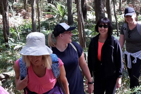 GPS Guided Walks In The Daylesford Forest - ACT Tourism 1