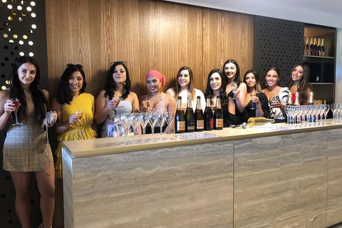 Yarra Valley Public Winery Tours - ACT Tourism 0