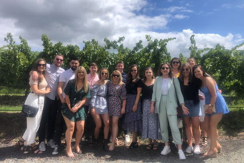 Yarra Valley Public Winery Tours - ACT Tourism 16