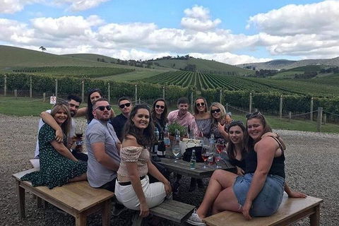 Yarra Valley Public Winery Tours - ACT Tourism 12