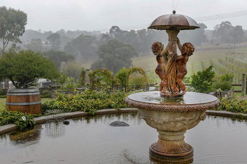 Yarra Valley Public Winery Tours - ACT Tourism 6