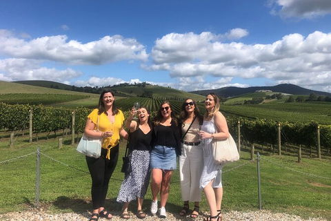 Yarra Valley Public Winery Tours - ACT Tourism 15