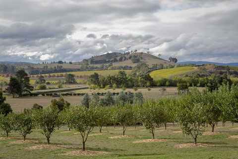 Yarra Valley Public Winery Tours - ACT Tourism 5