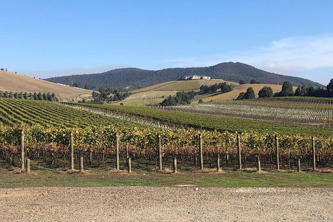 Yarra Valley Public Winery Tours - ACT Tourism 17
