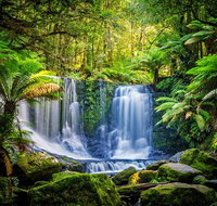 Day Tour in Mt. Field Mt. Wellington Bonorong Wildlife Sanctuary and Richmond - ACT Tourism