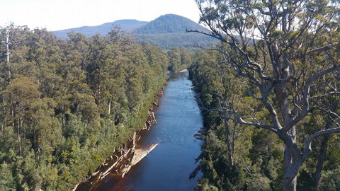 Small-group DayTour From Hobart: Hastings Caves, Huon Valley And Tahune AirWalk - ACT Tourism 3