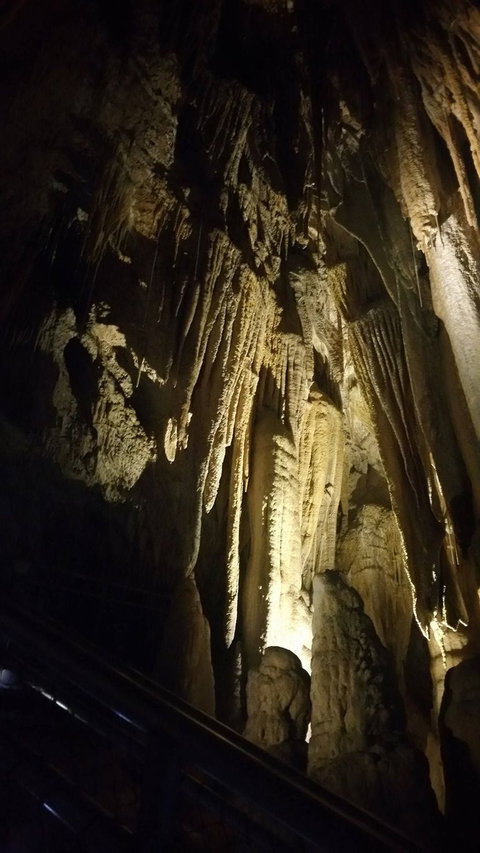 Small-group DayTour From Hobart: Hastings Caves, Huon Valley And Tahune AirWalk - ACT Tourism 5