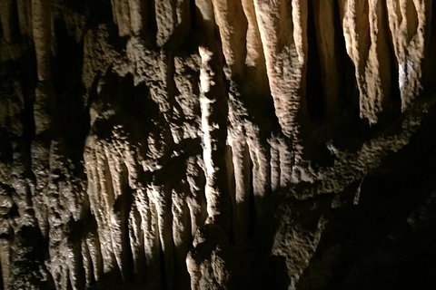Small-group DayTour From Hobart: Hastings Caves, Huon Valley And Tahune AirWalk - ACT Tourism 1