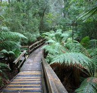Small-group DayTour from Hobart Hastings Caves Huon Valley and Tahune AirWalk - ACT Tourism